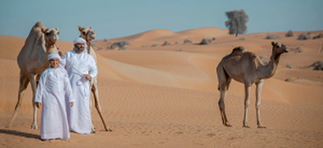 UAE Health Insurance Plans: A Complete Guide for Expats
