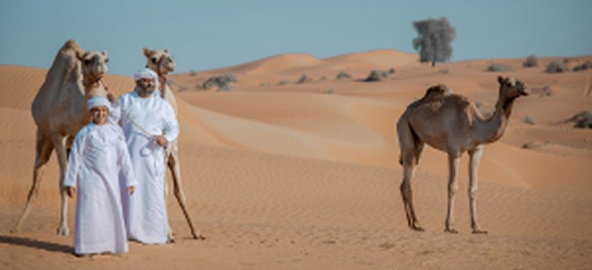 UAE Health Insurance Plans: A Complete Guide for Expats