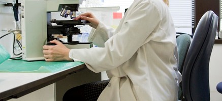 What Are Network Clinics and Hospitals?