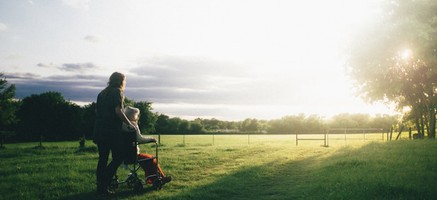 How to Compare Health Insurance Plans Online