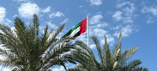 Understanding Insurance Regulations in the UAE