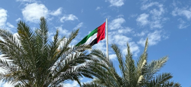 Understanding Insurance Regulations in the UAE